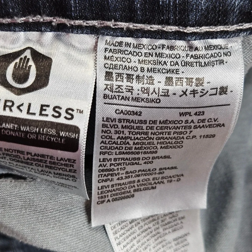 Levis levi strauss