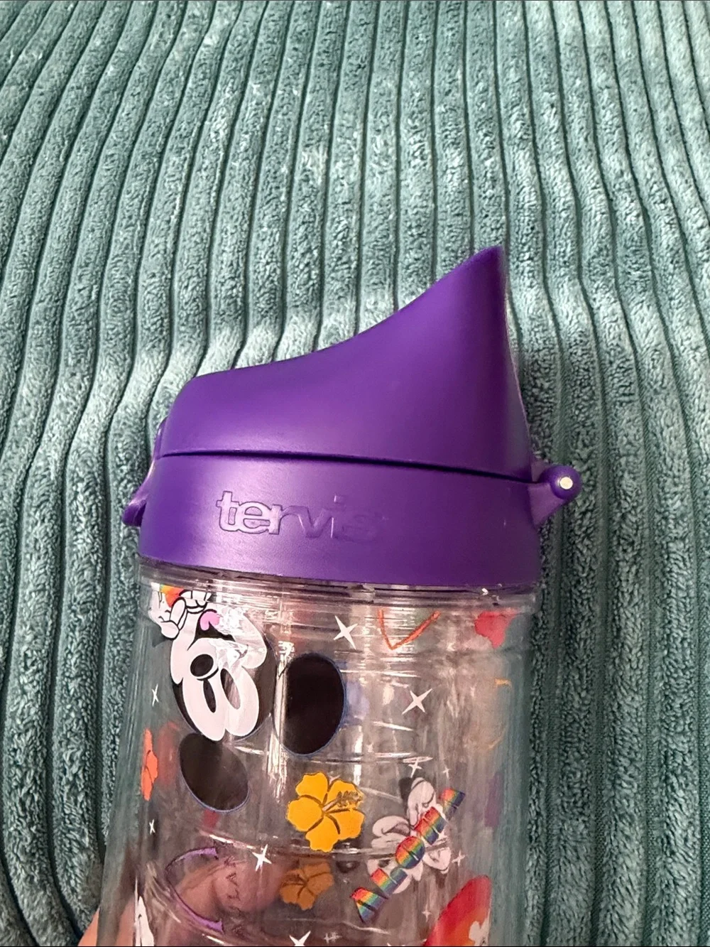Disney tervis reusable