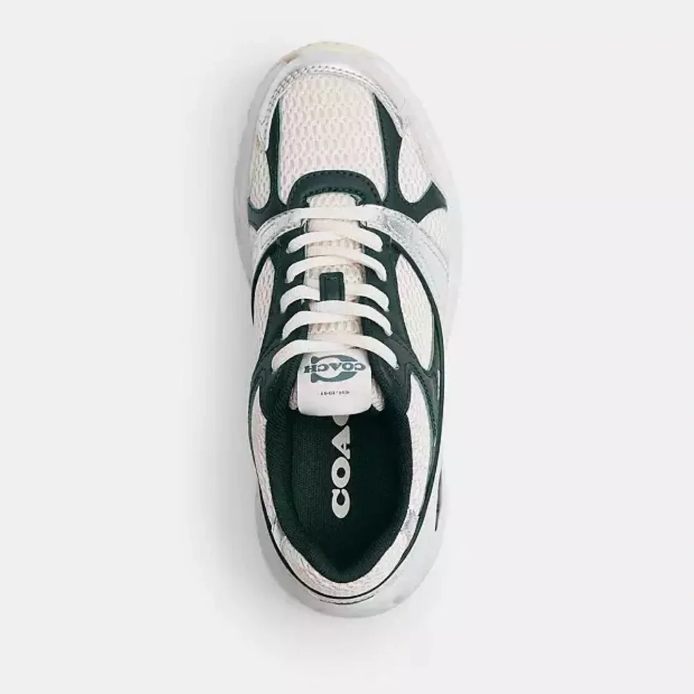 Coach sneakers green