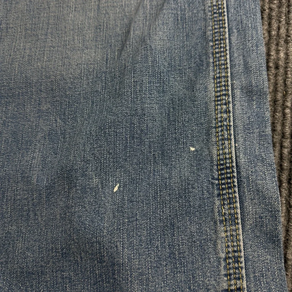 Levis levi carpenter