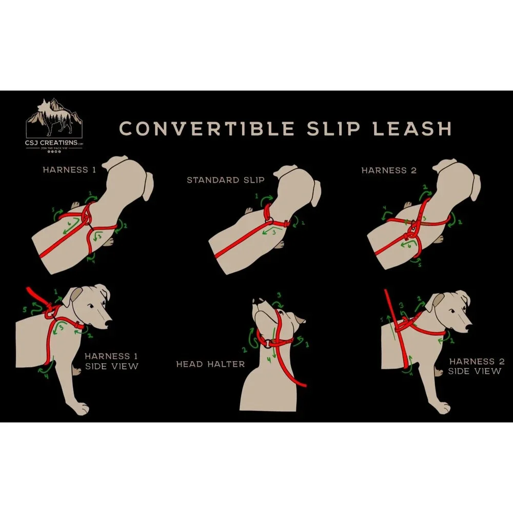 6’ Biothane Convertible Slip Dog Leash No Pull Harness or Head Halter 3/4