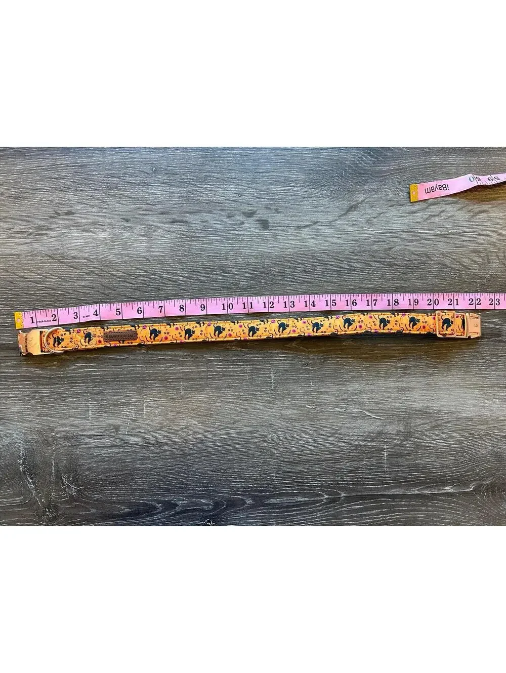 Elegant Little Tail Halloween Black Cat Dog Collar