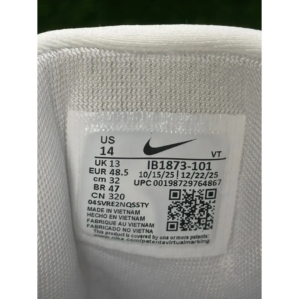 Nike pegasus 42