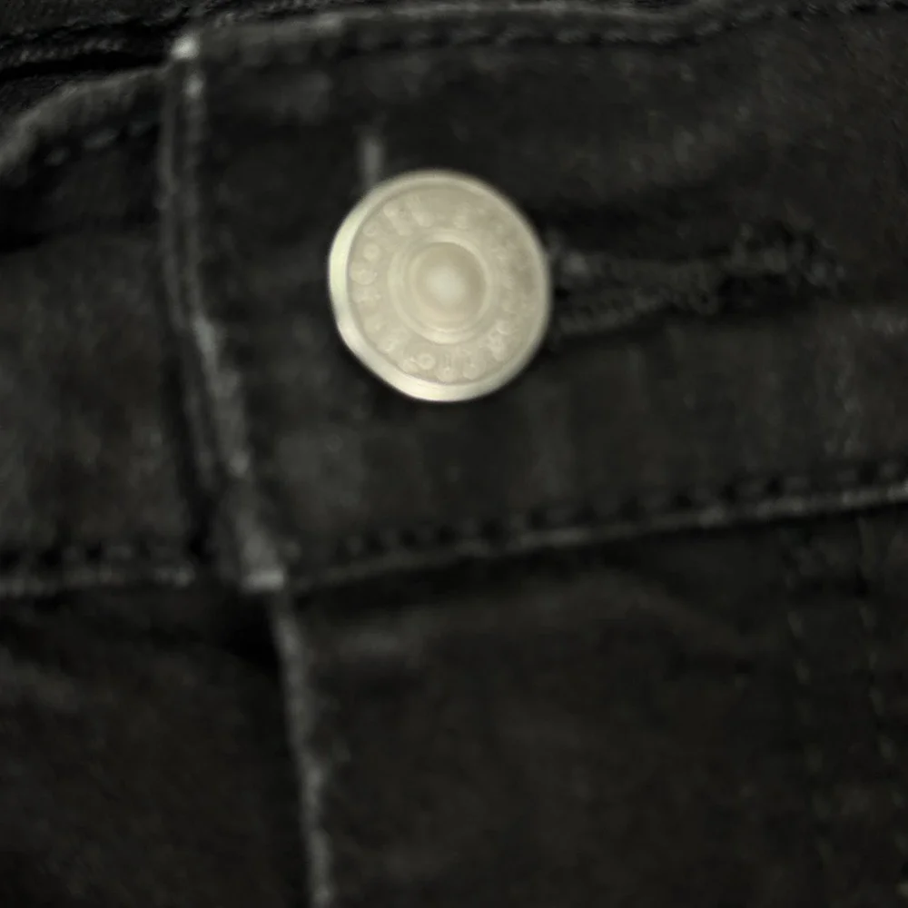 Levis levis 511
