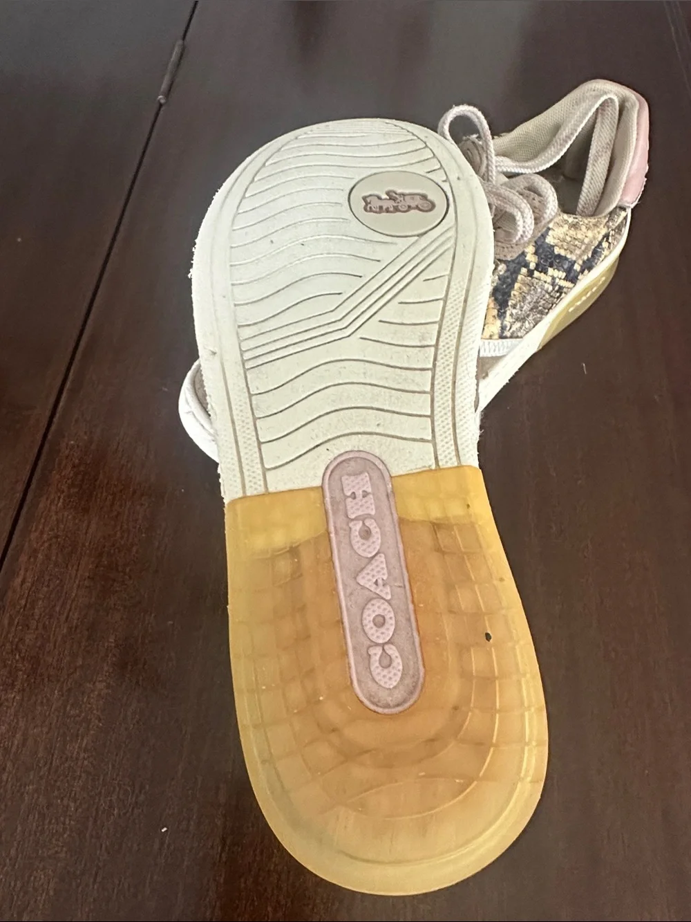 Coach stylish women’s