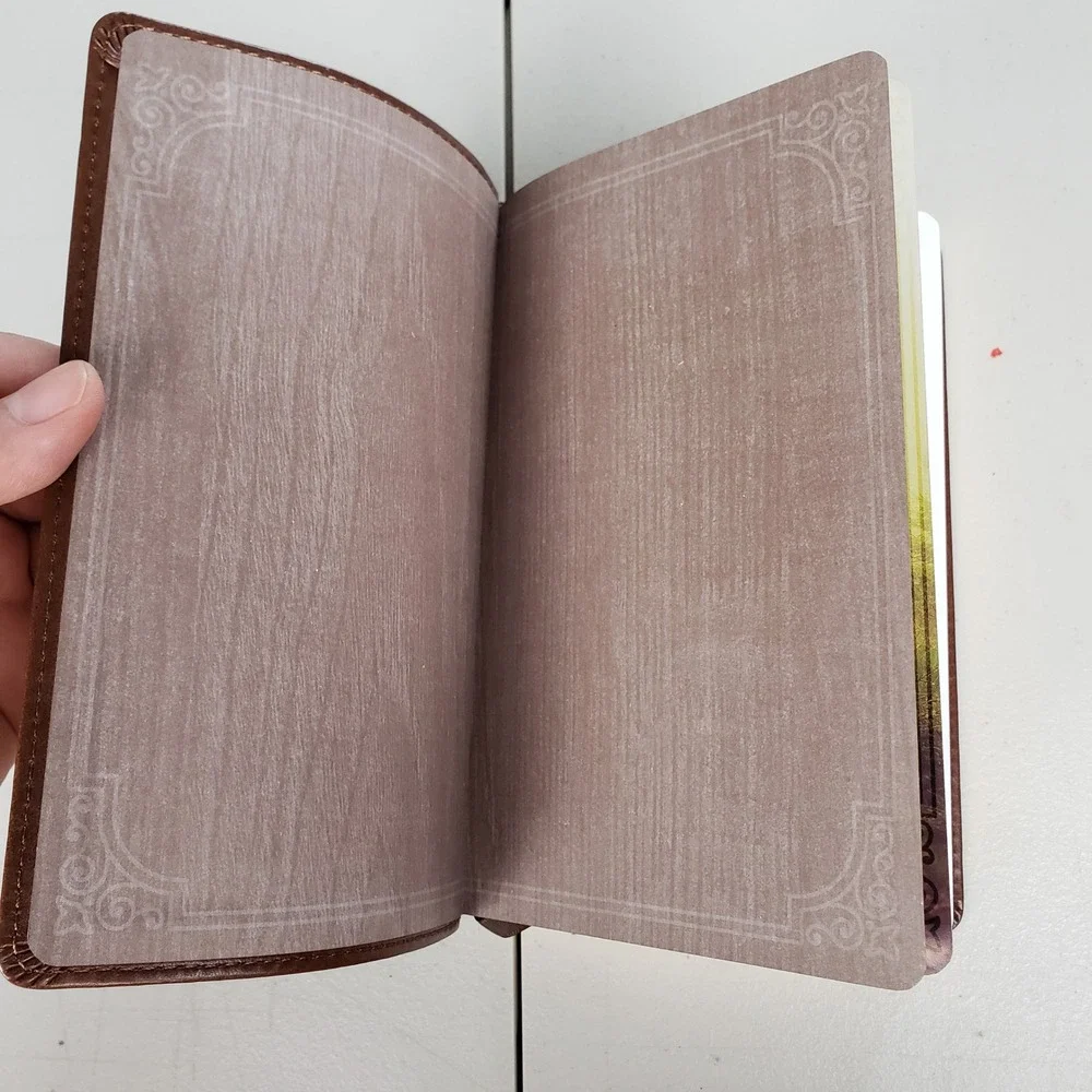 Walking with God 365 Daily Devotions David Jeremiah Brown LuxLeather Christian