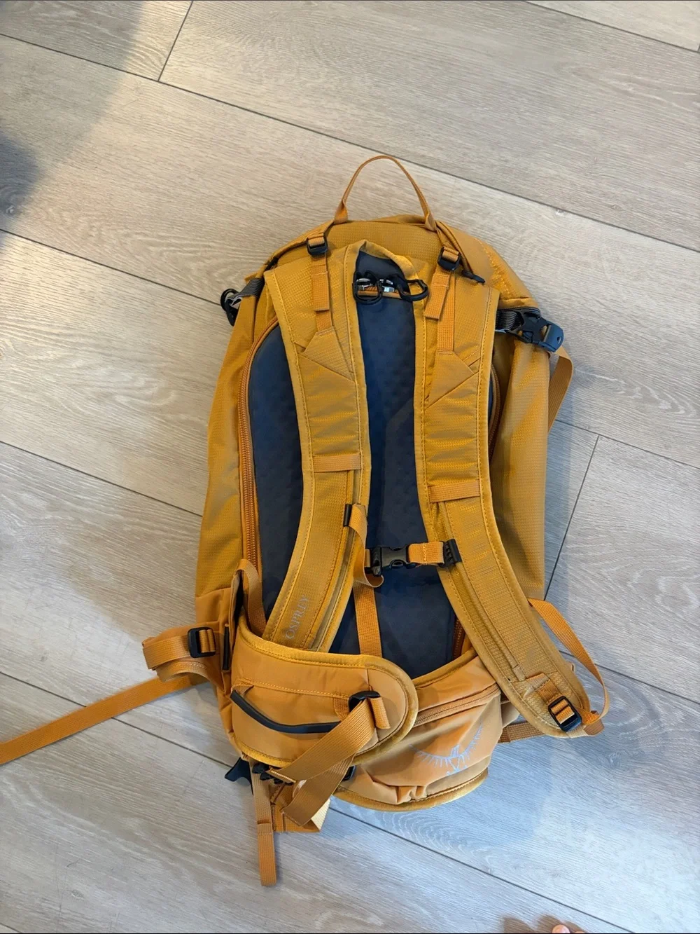 OSPREY Soelden 32L Backpack