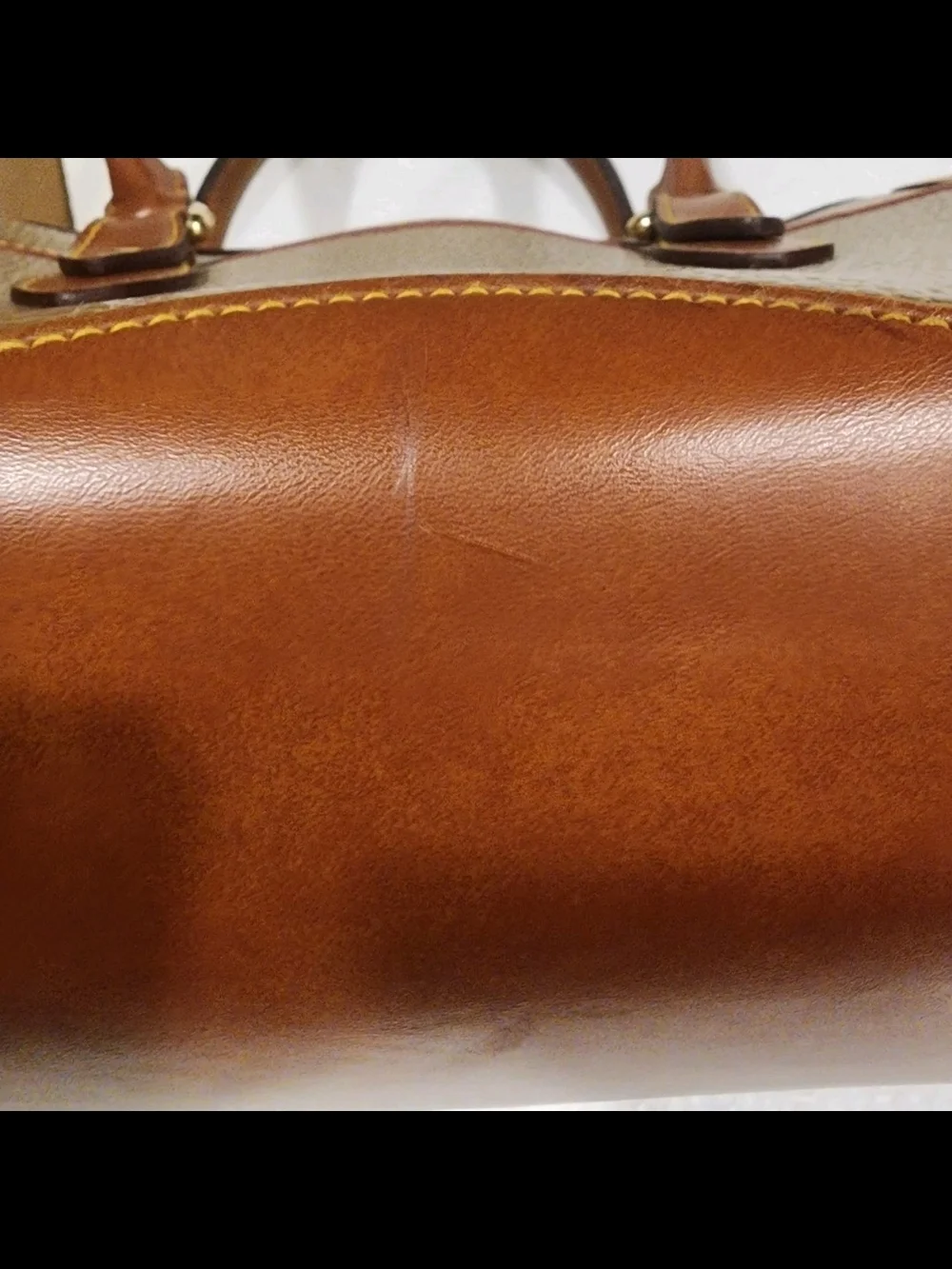 Dooney & Bourke vintage dooney