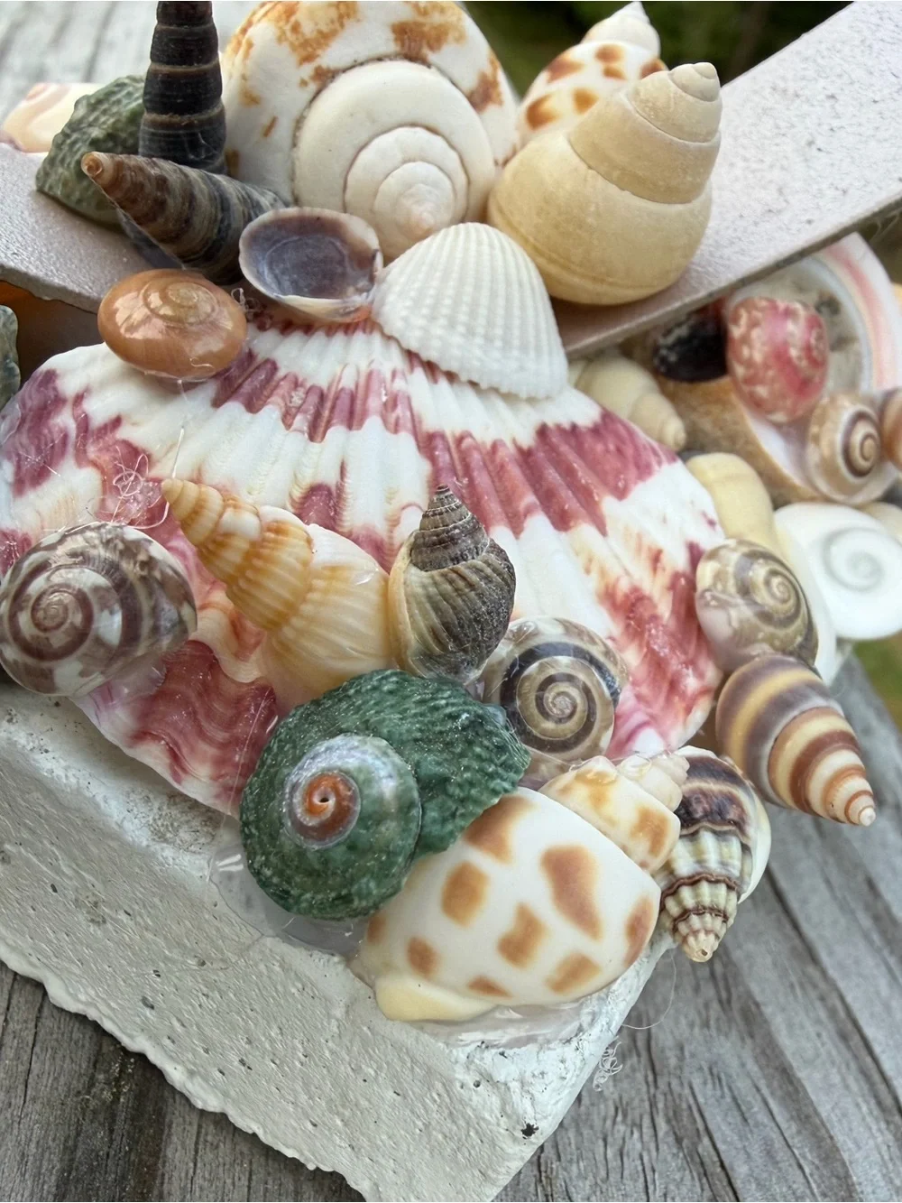 Coastal Candle Decor charming decorative