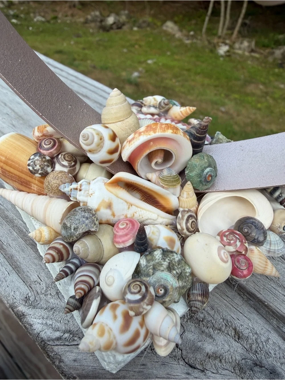 Coastal Candle Decor charming decorative