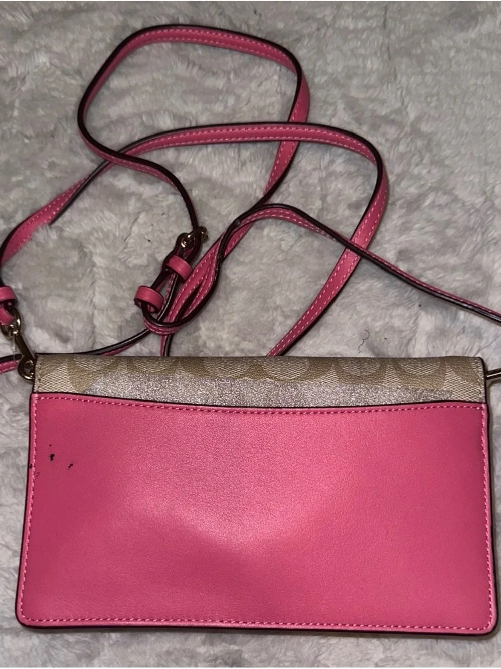 Coach signature canvas