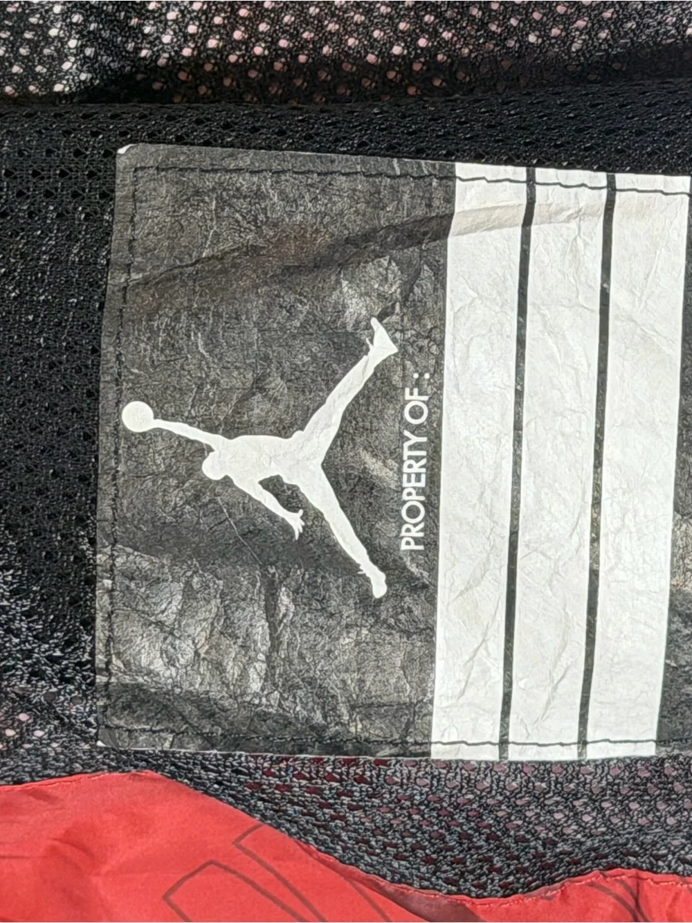 Jordan lightweight windbreaker