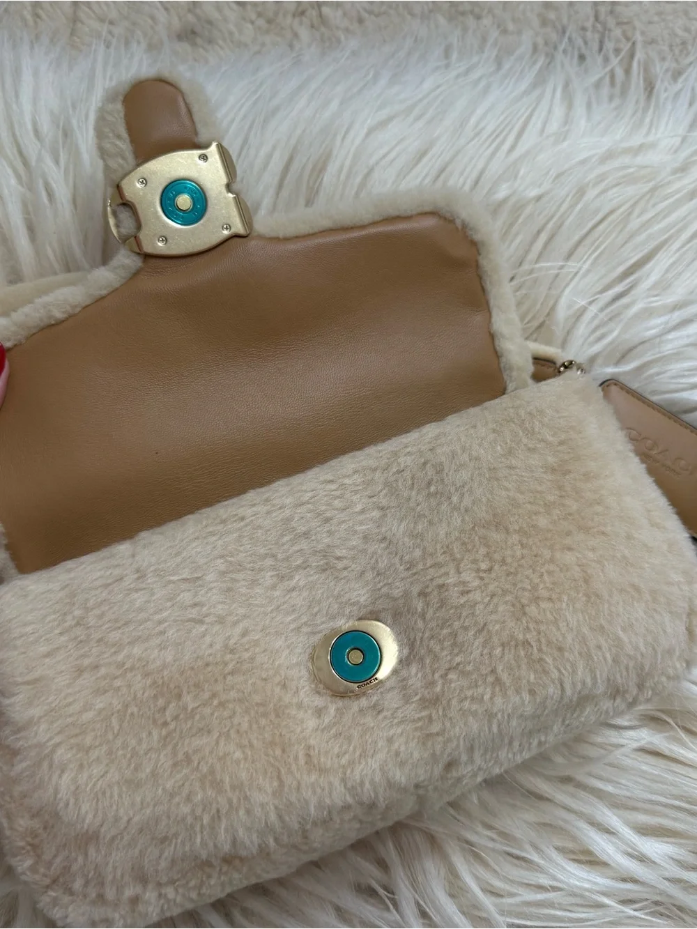 Coach gorgeous pillow