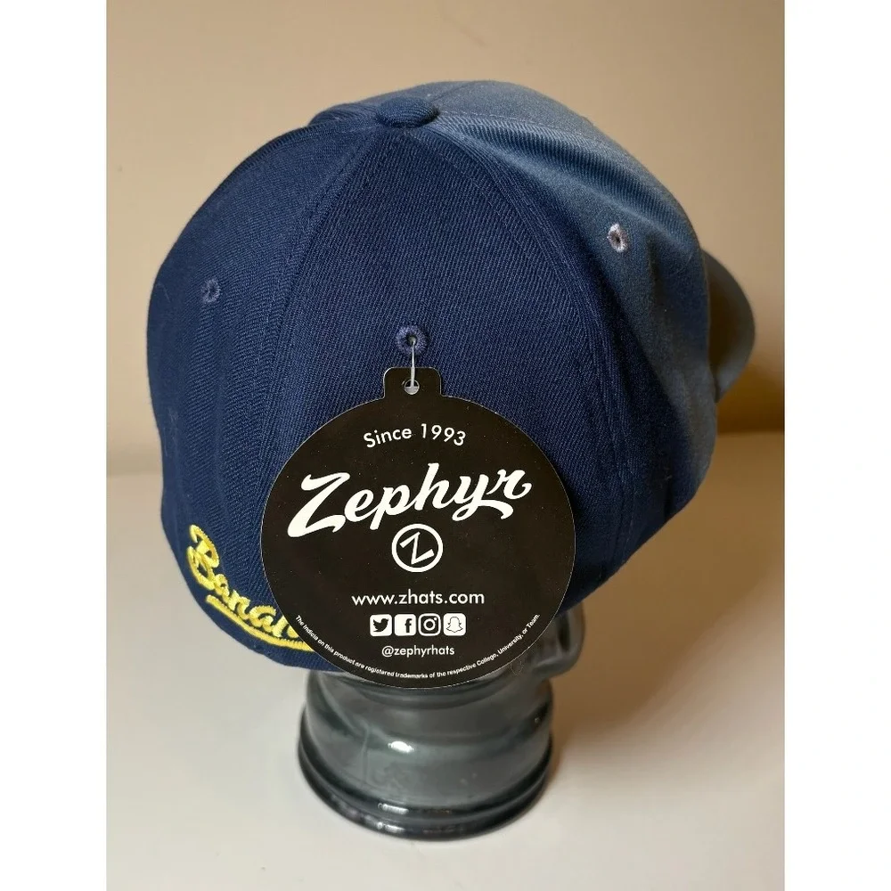 Savannah Bananas Zephyr Flex Fit Hat | Blue Fade | NWT | XL