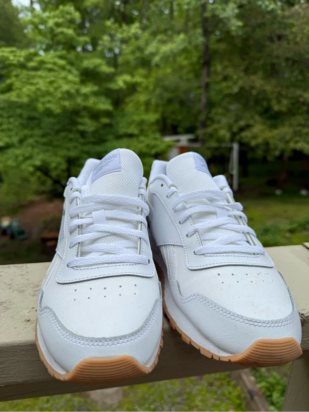 Reebok classic low