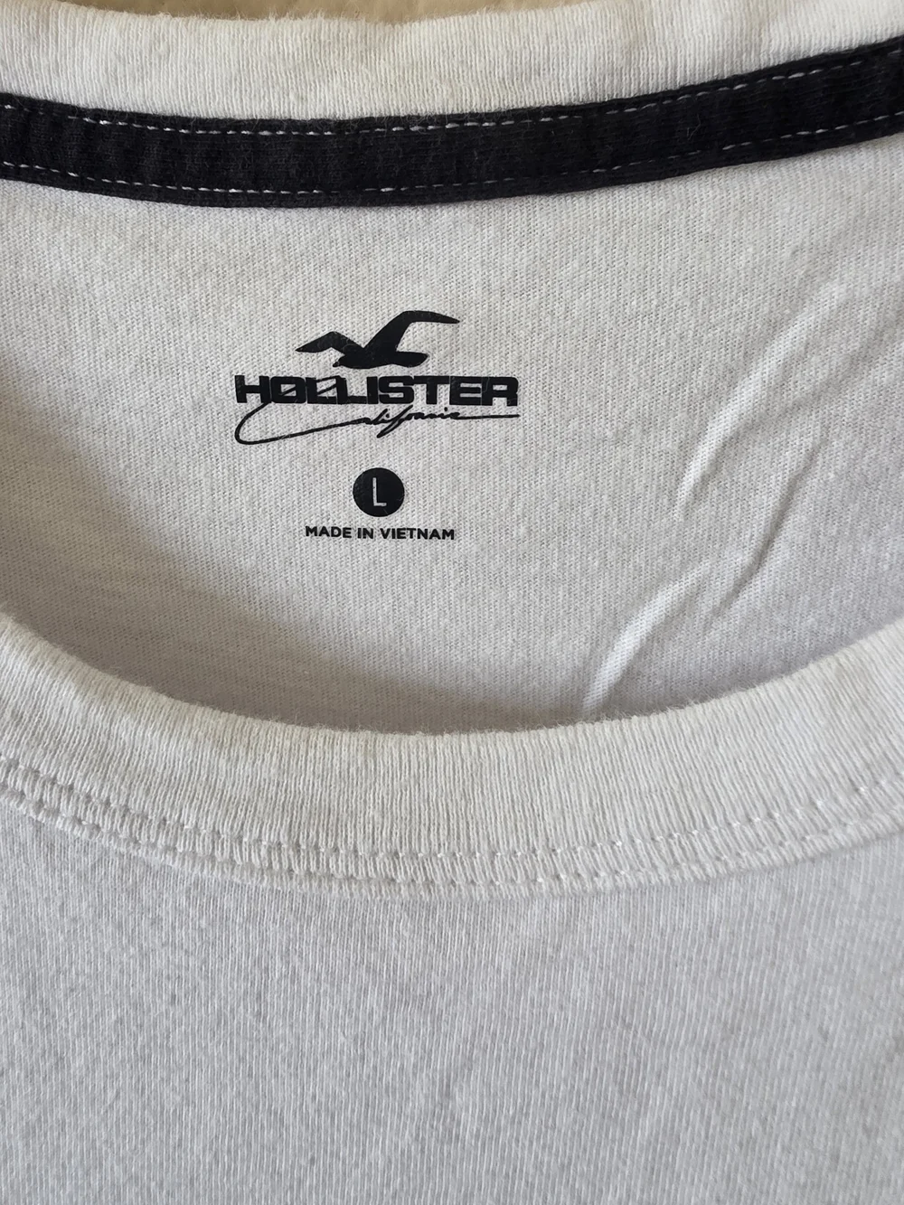 Hollister classic crew
