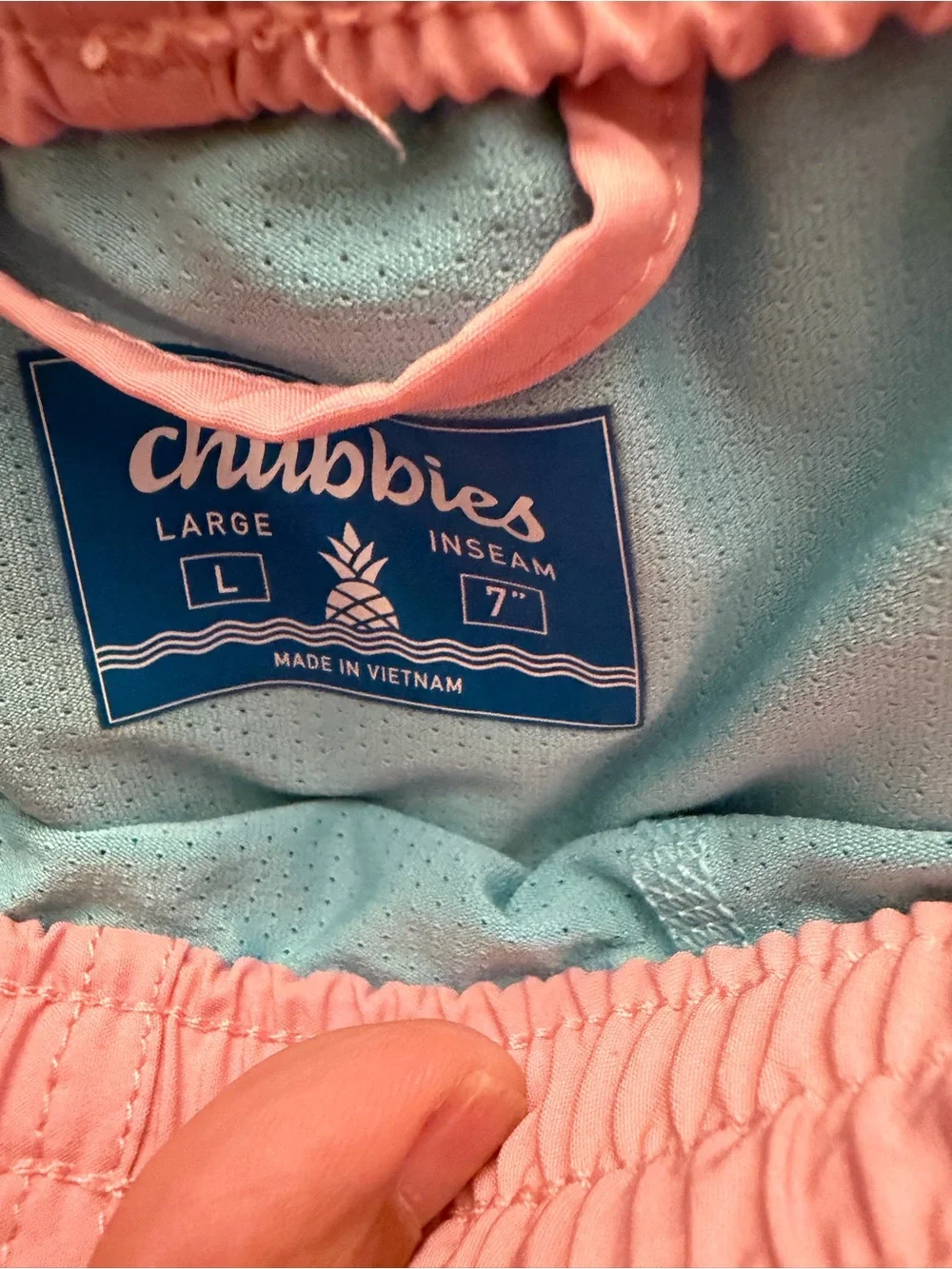 chubbies swim trunks