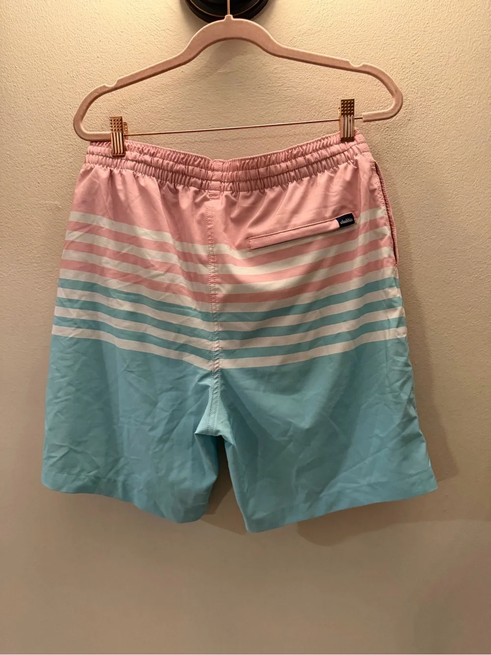 chubbies swim trunks