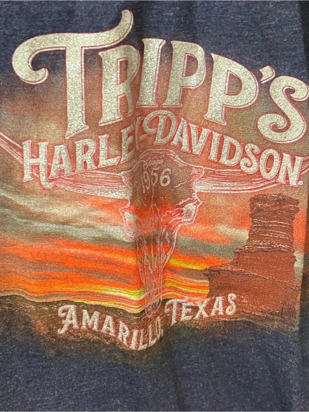 Harley-Davidson sleeveless harley