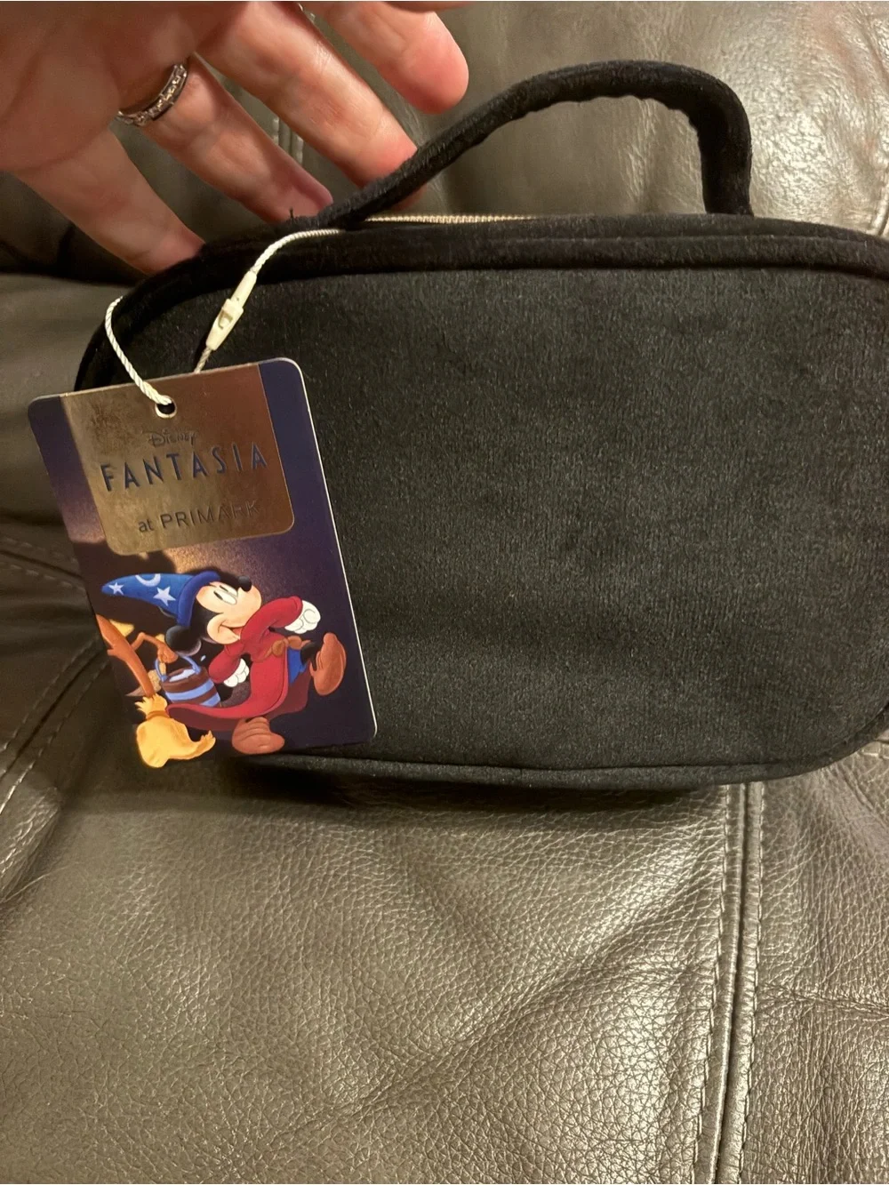 Disney official fantasia
