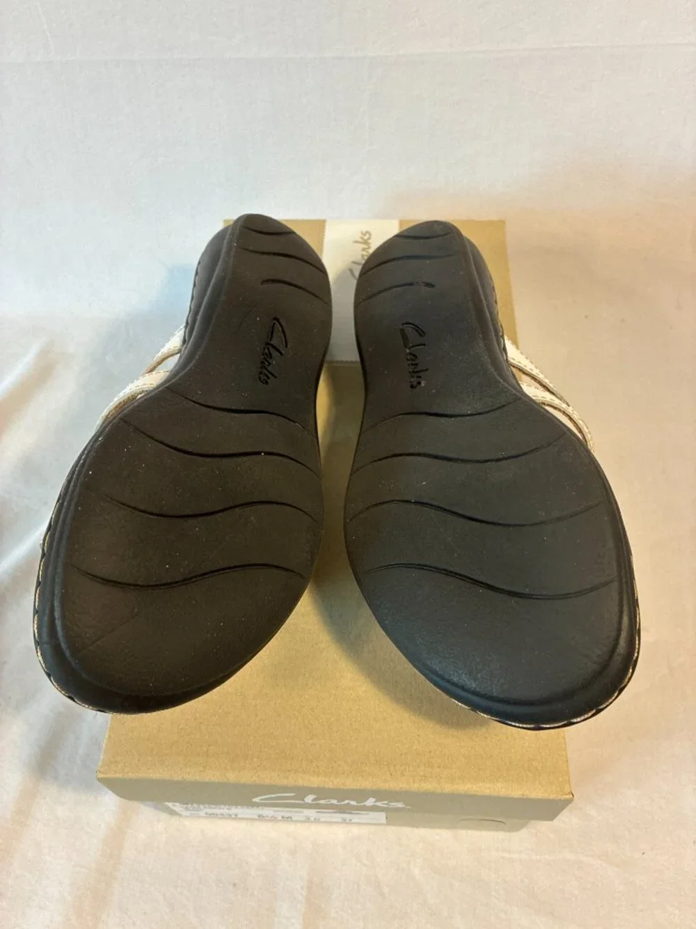 Clarks leisa cacti