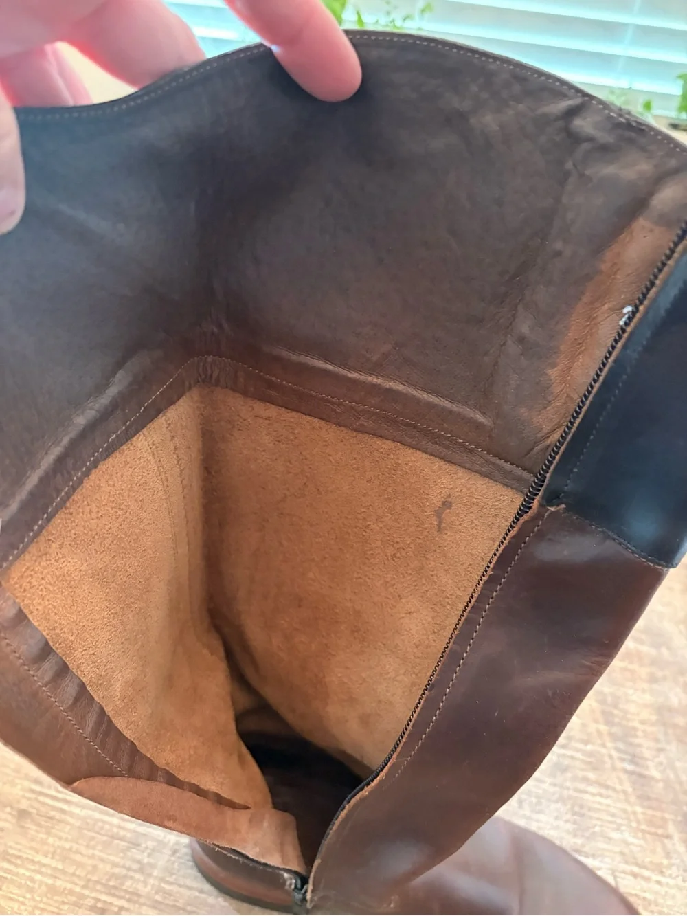 Wolverine by Amanda Pleet beautiful oiled