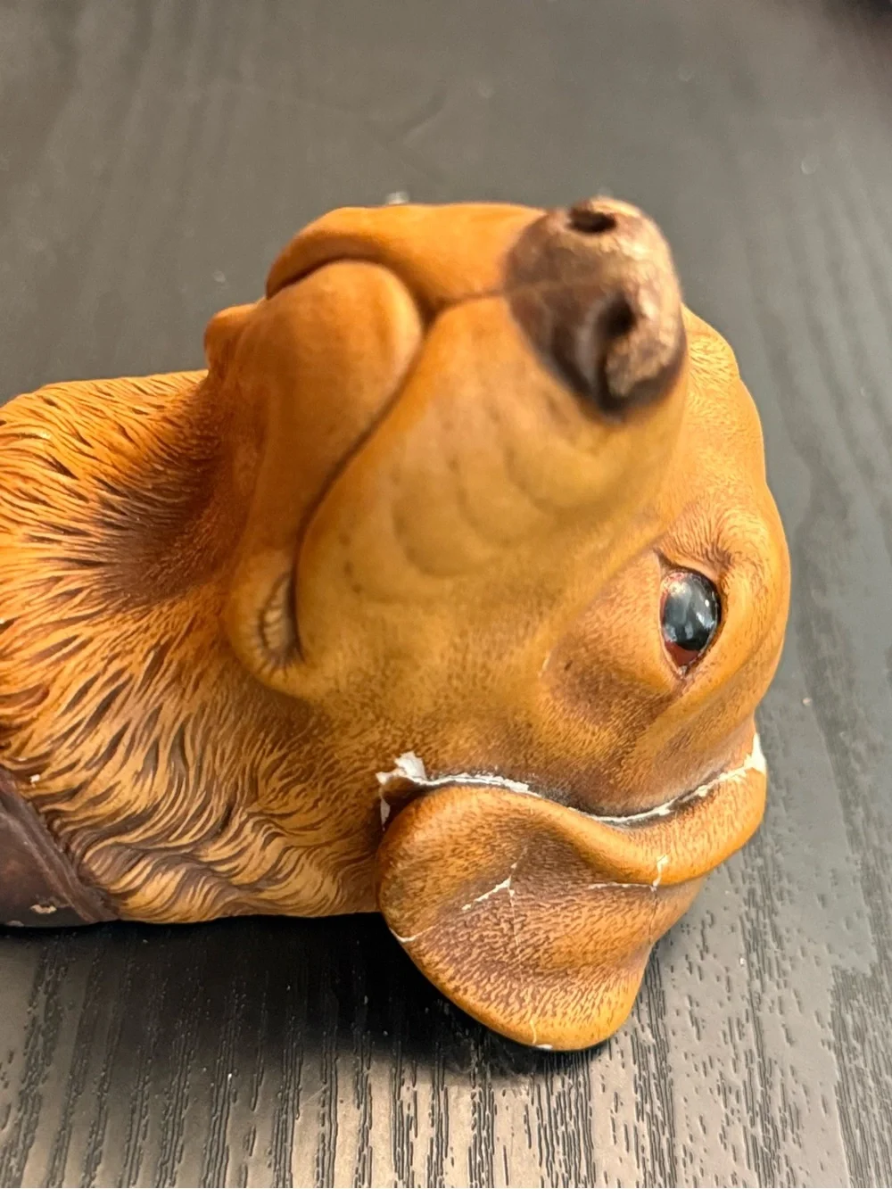 N/A brown dog