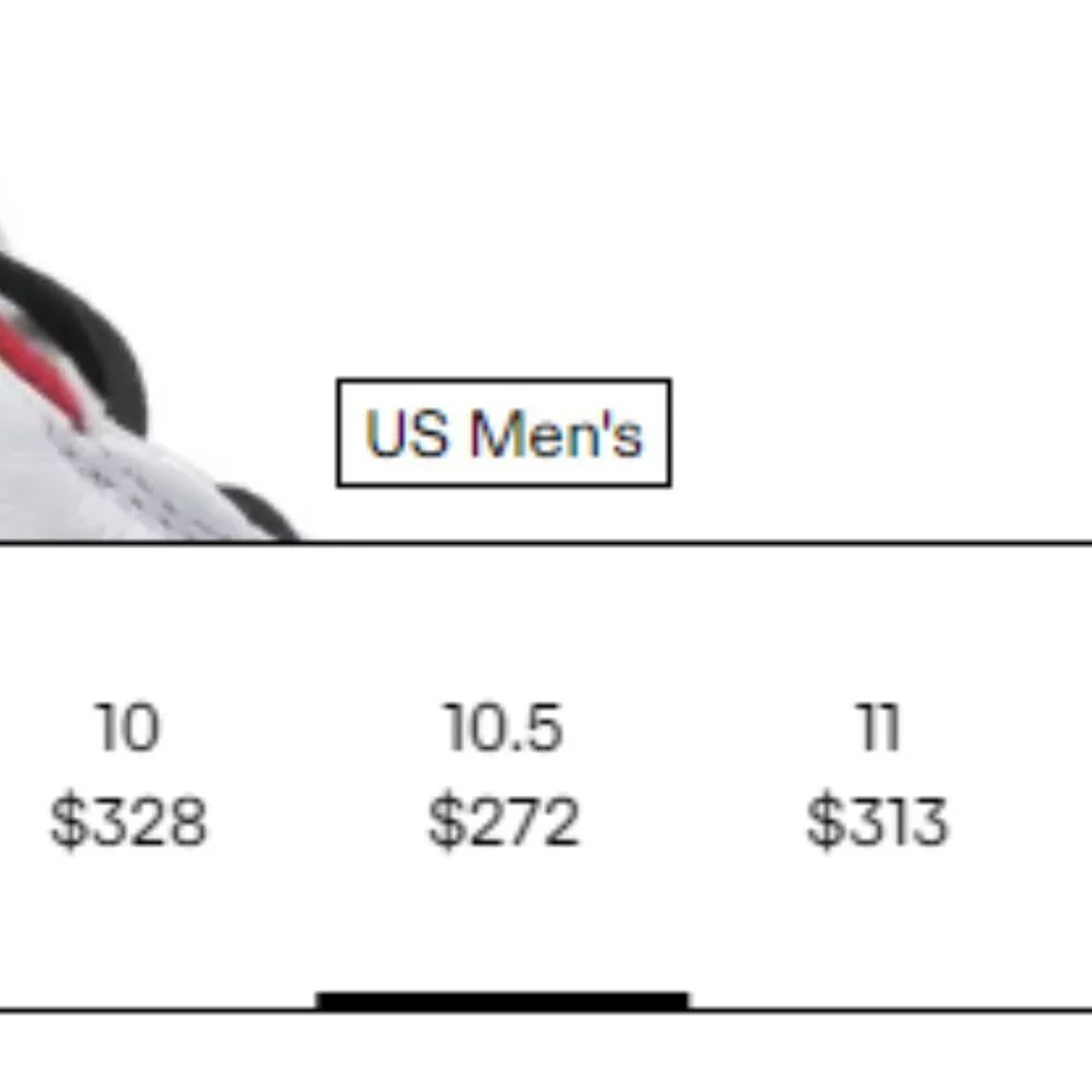Jordan air 13