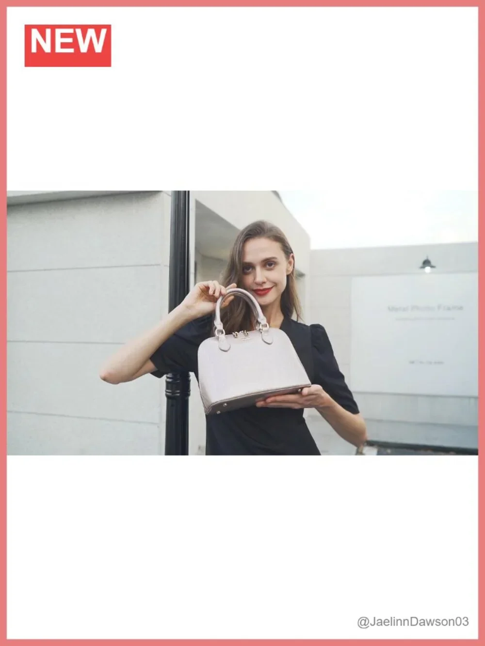 N/A elegant satchel