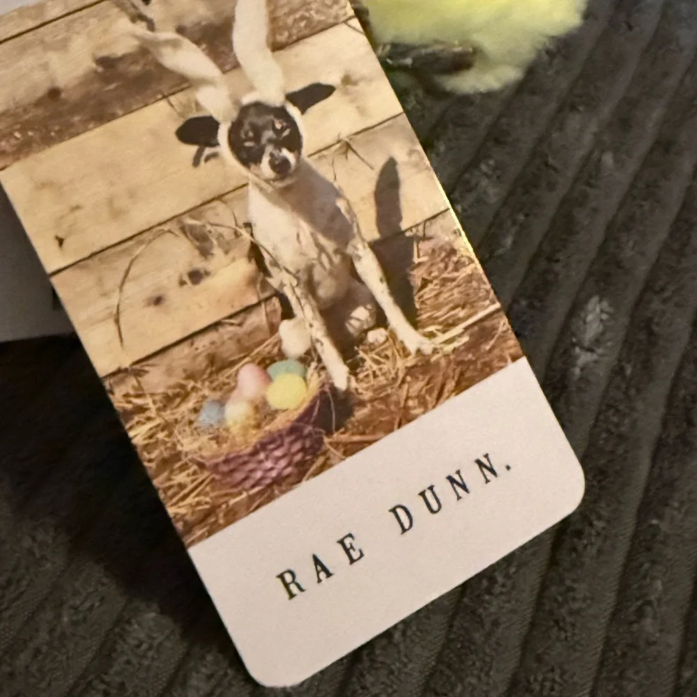 Rae Dunn charming yellow