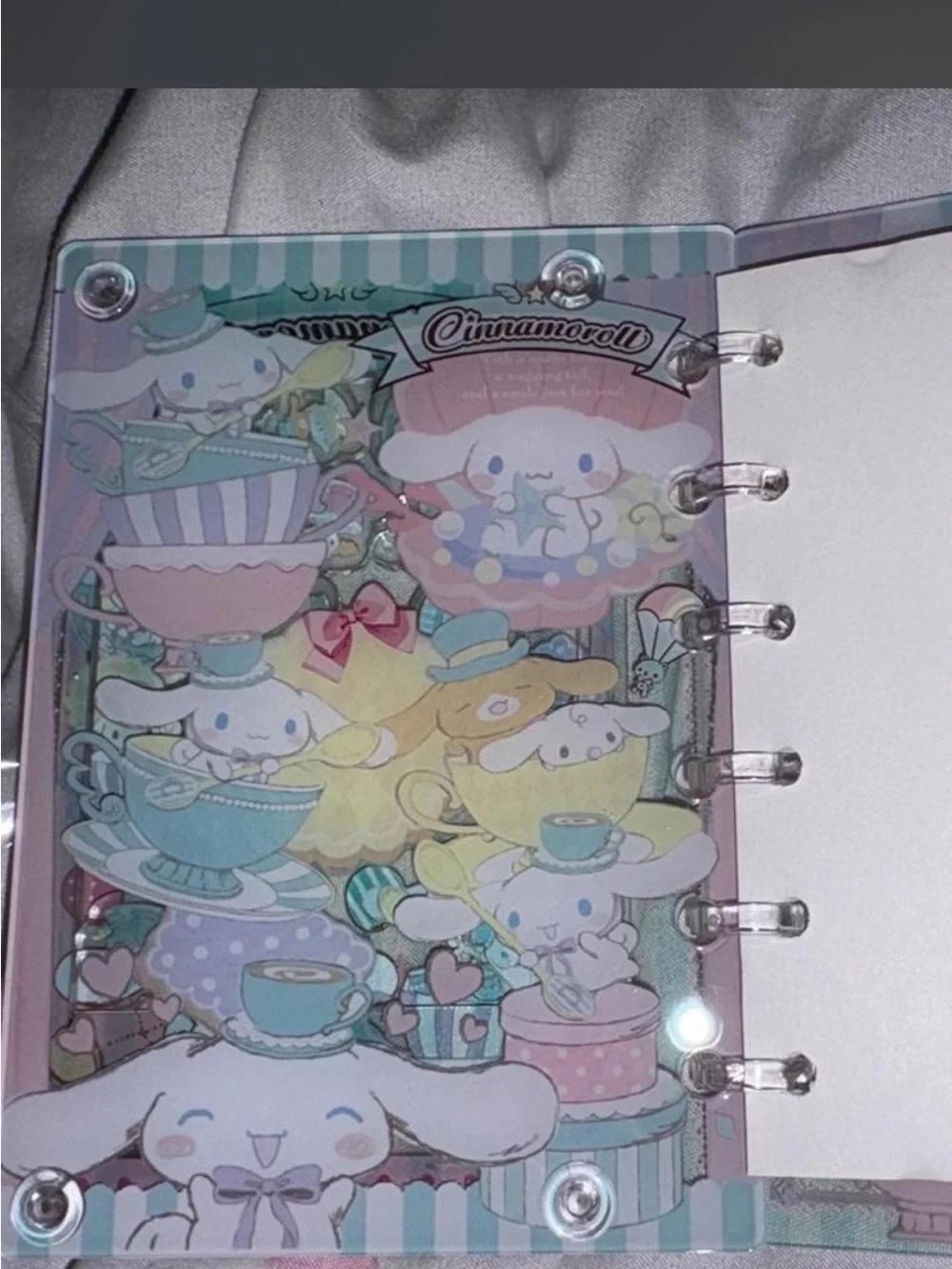 Sanrio adorable cinnamoroll