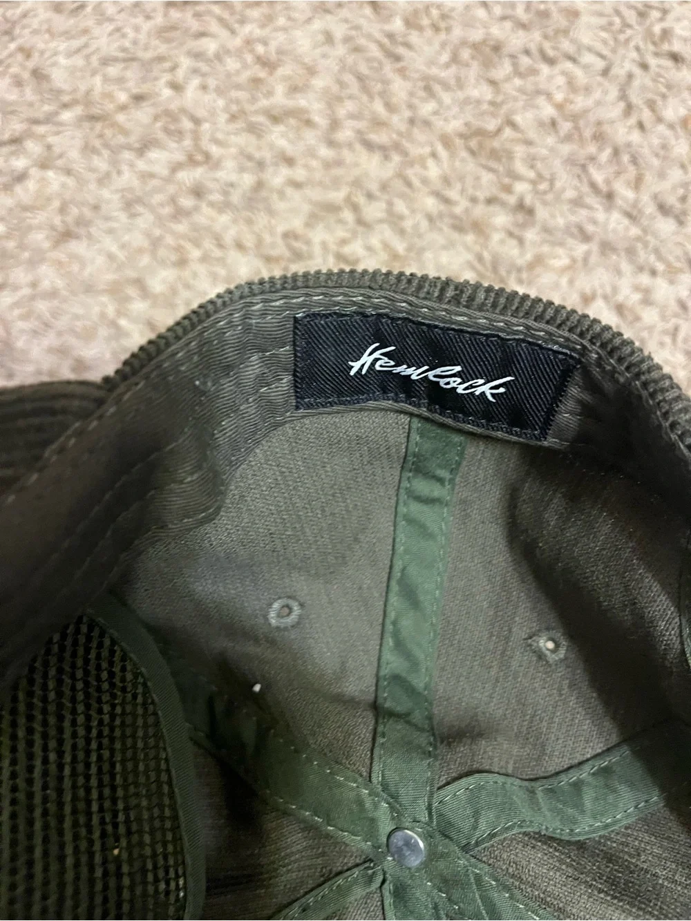 Hemlock dark olive