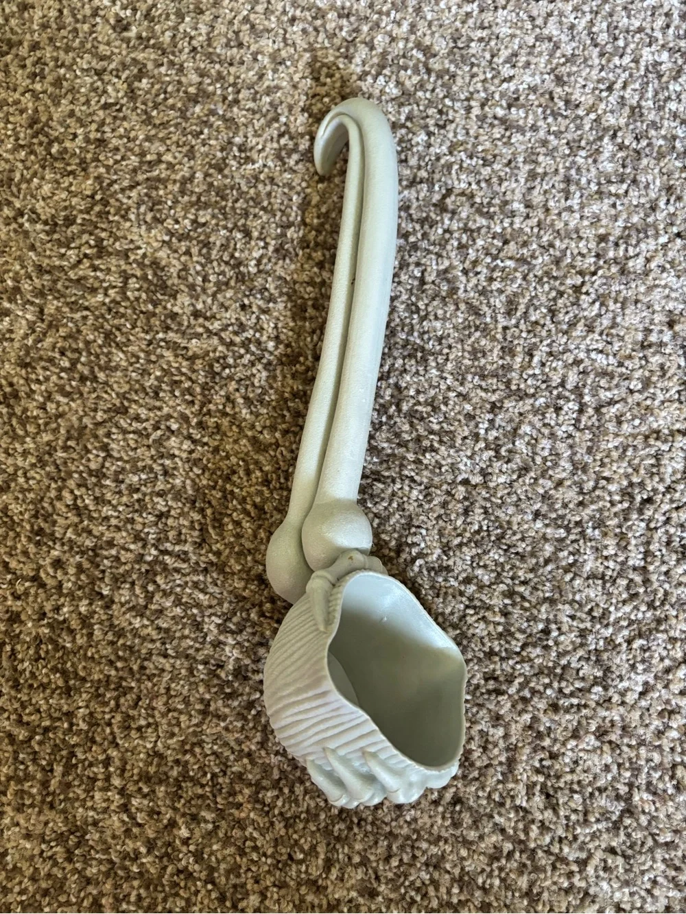 N/A decorative skull