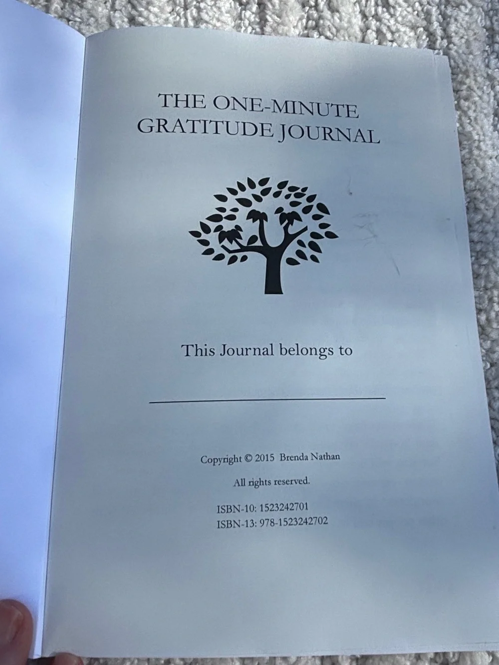 🎉BRAND NEW 🎉 The One-Minute Gratitude Journal by — Brenda Nathan
