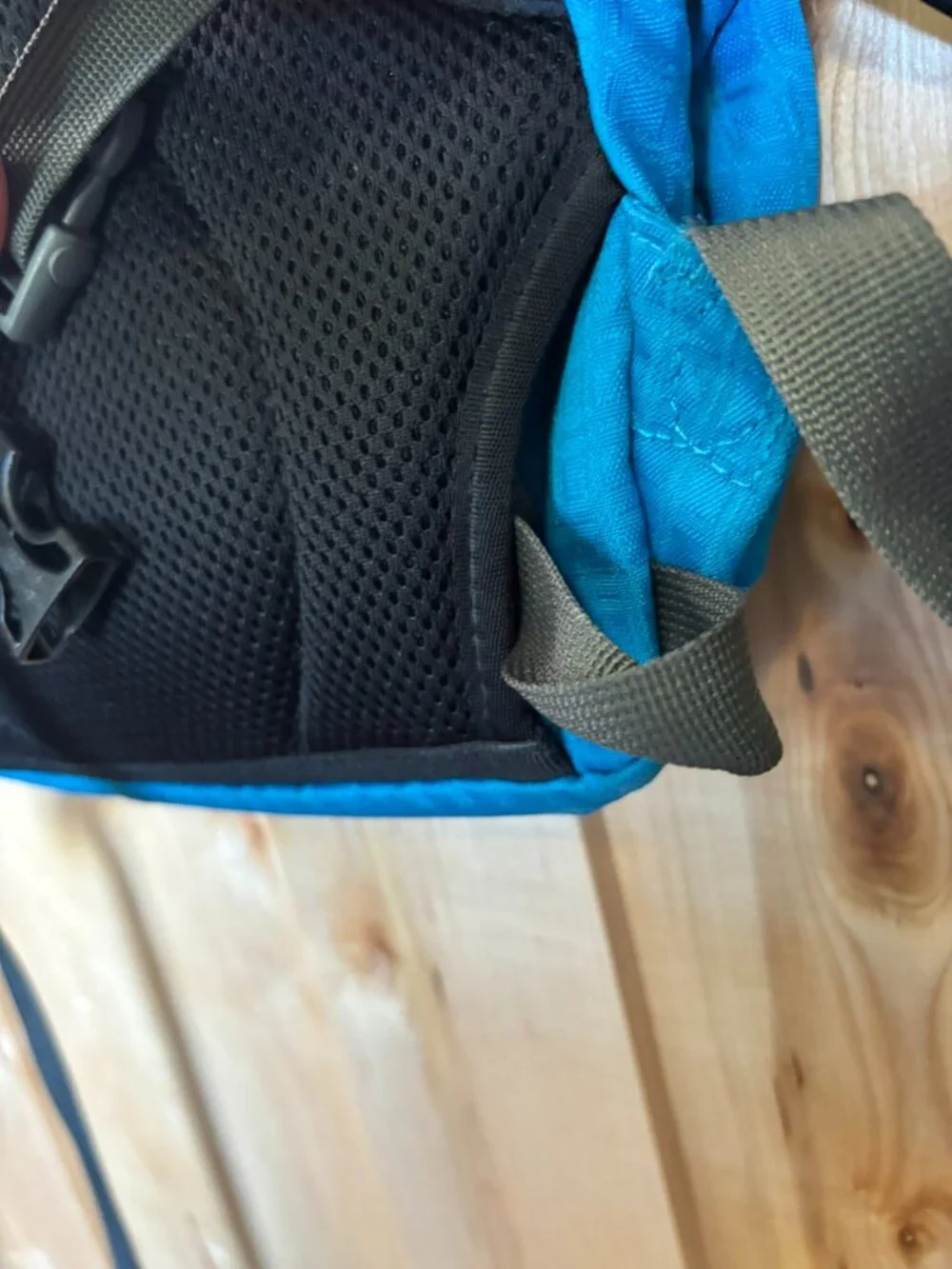Patagonia mini backpack