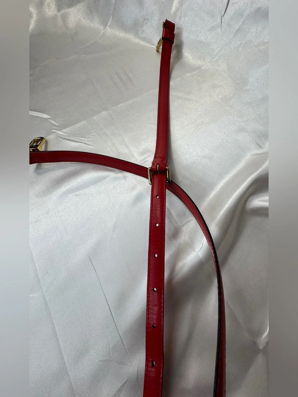 Louis Vuitton preloved authentic