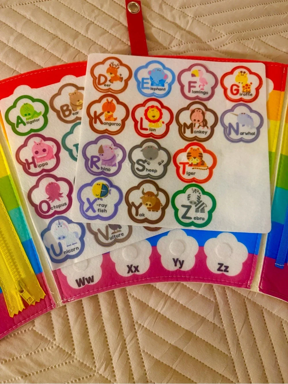 N/A engaging multicolor