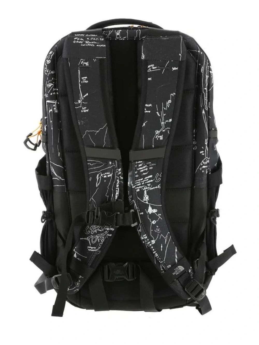 The North Face north face