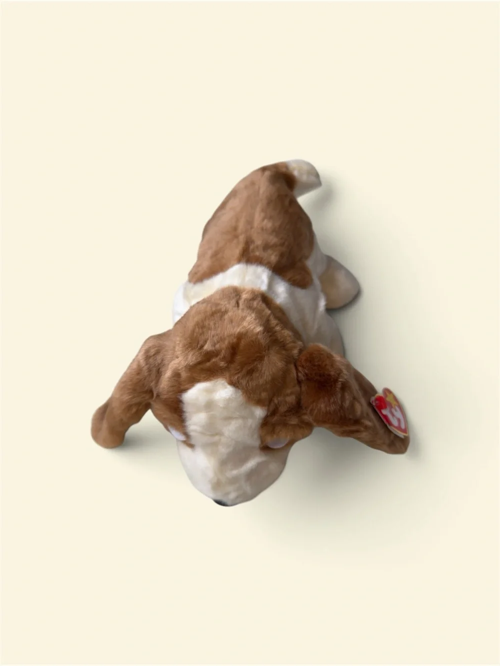 Ty plush puppy