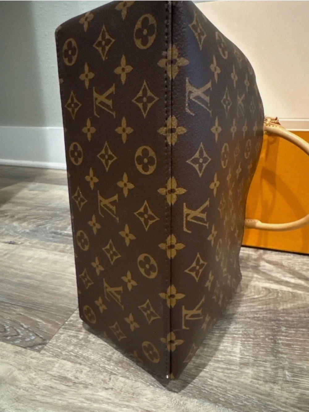 Louis Vuitton brand new