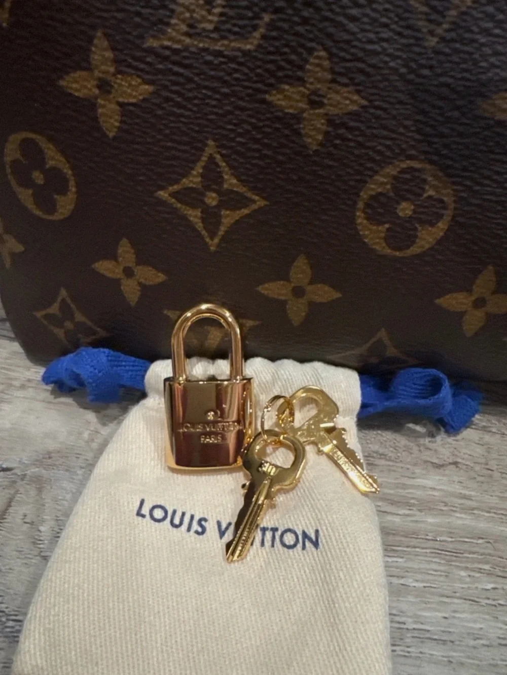 Louis Vuitton brand new