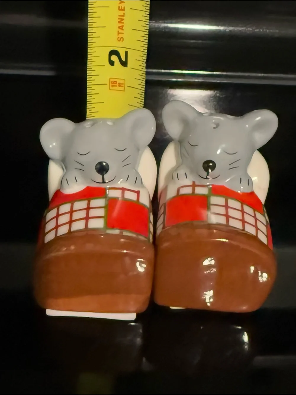 N/A sleeping mouse