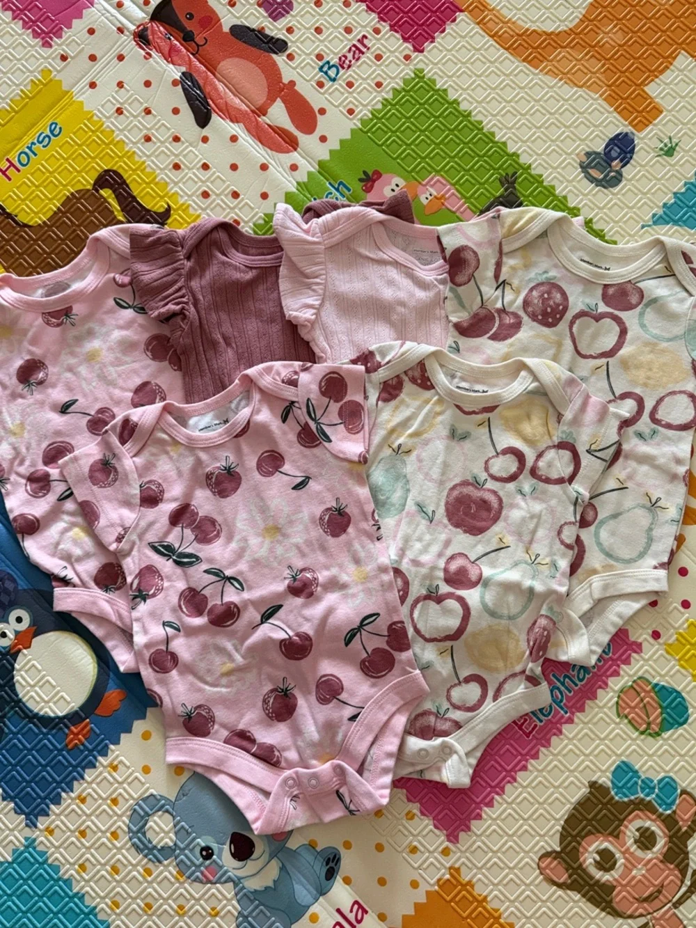 6 Organic Cotton Baby Girl One-Piece Bodysuits