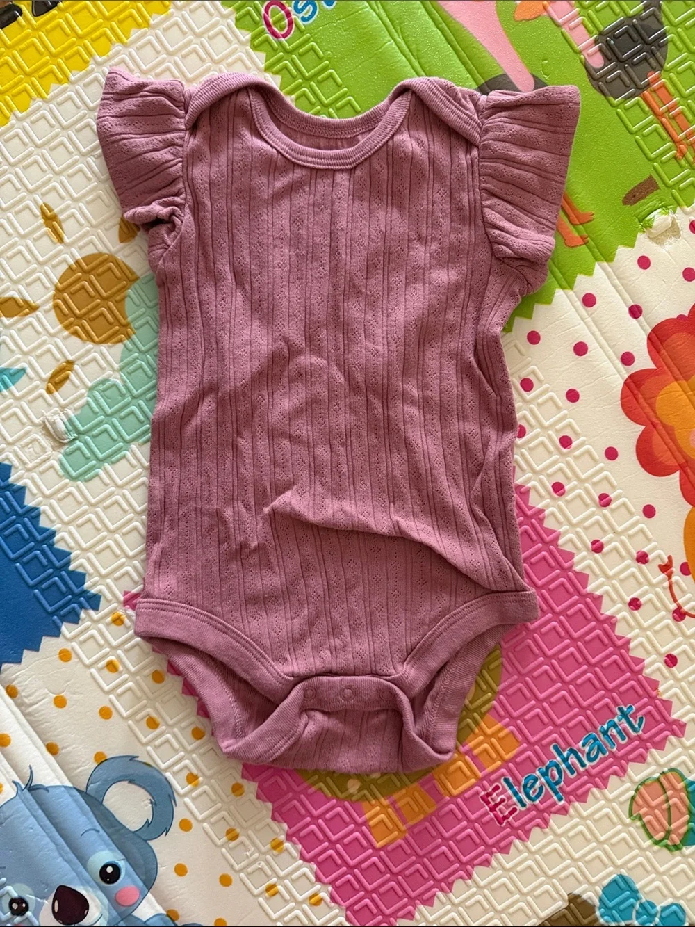 6 Organic Cotton Baby Girl One-Piece Bodysuits