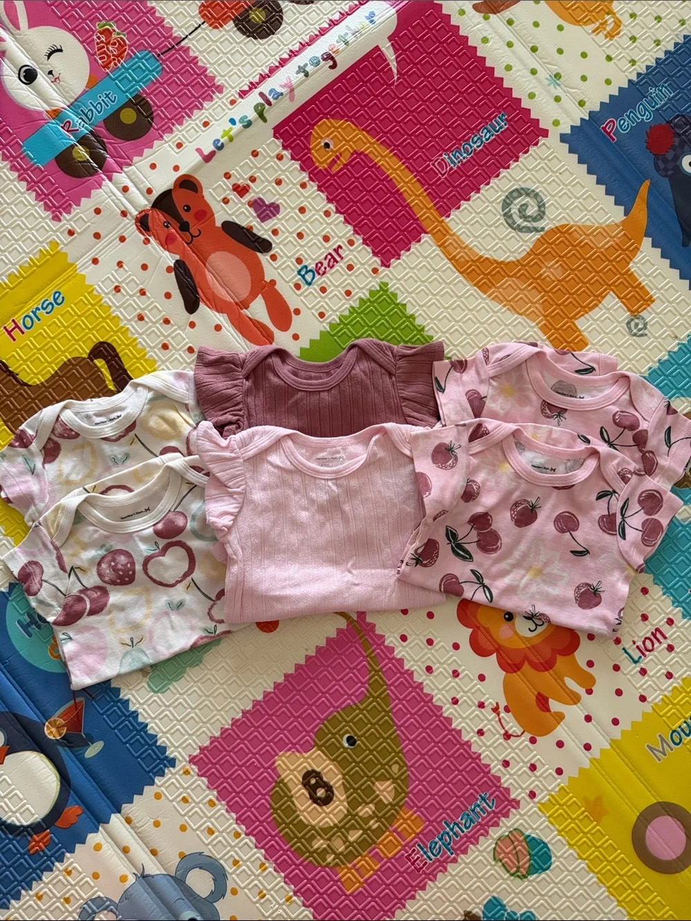 6 Organic Cotton Baby Girl One-Piece Bodysuits
