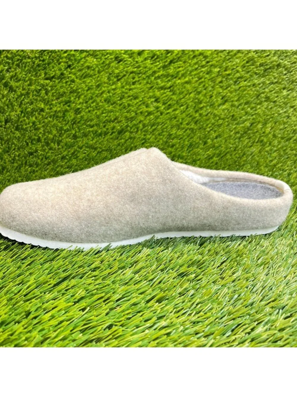 allbirds prior appearance use