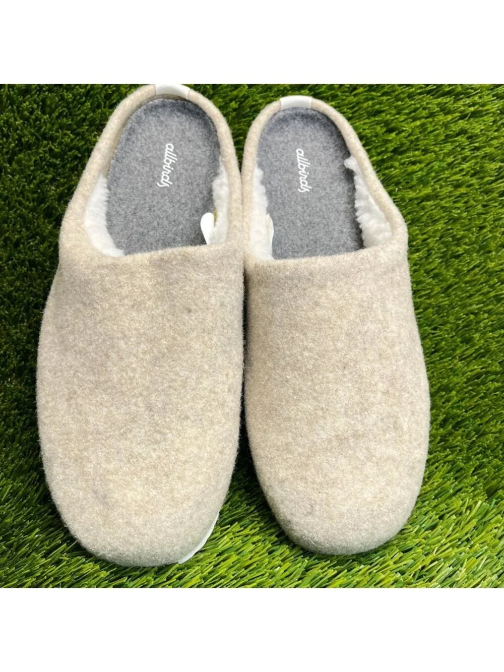 allbirds photos shown