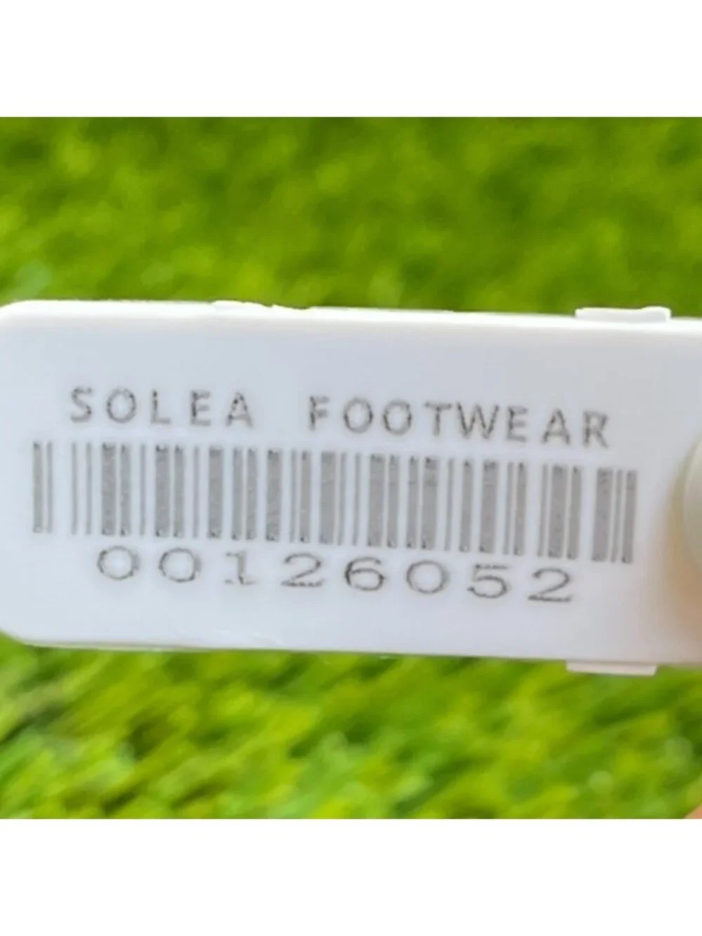 allbirds feel we