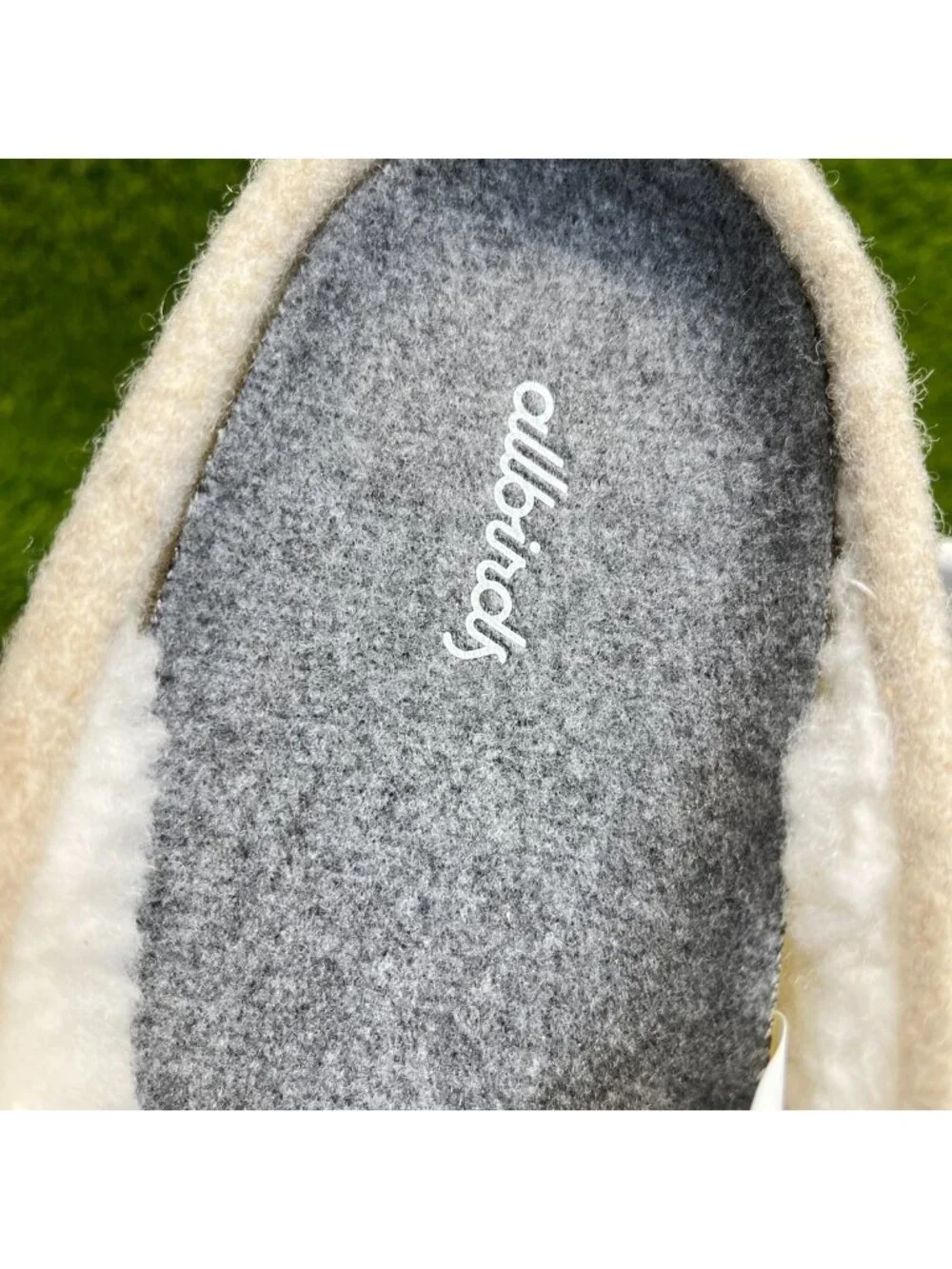 allbirds hard photos us