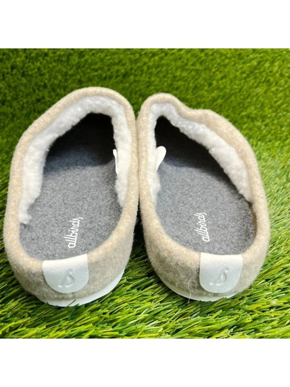 allbirds appearance message